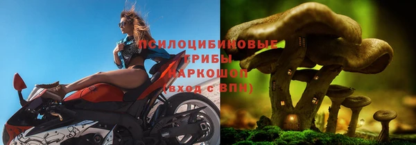 спиды Абдулино